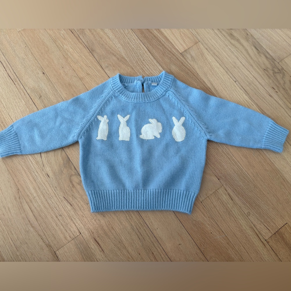 Blue Baby Bunny Sweater